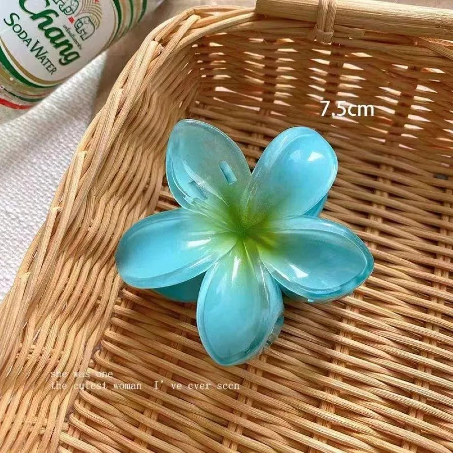 4pcs Gradient Color Flower Hair Accessories Set, Sea Beach Style, Including Flower Claw Clips, Shrimp Hairpins, And Hair Claw, European And American Style