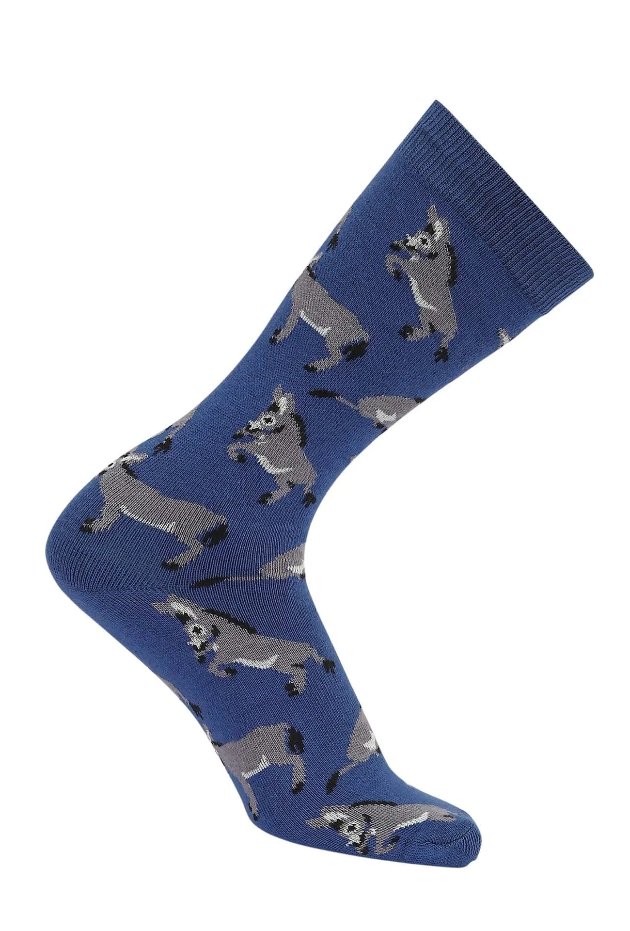 AWST Int'l Playful Donkeys Socks 6 pack