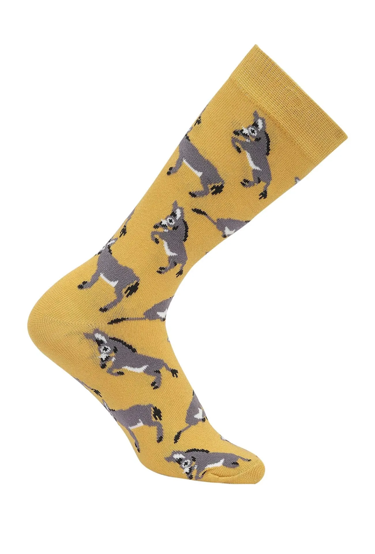 AWST Int'l Playful Donkeys Socks 6 pack