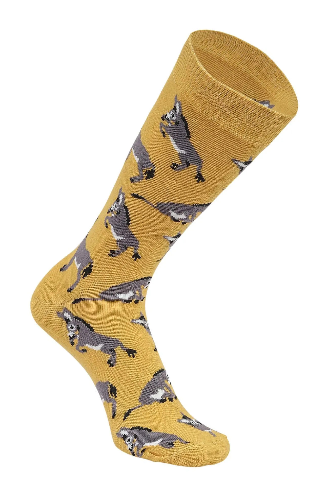AWST Int'l Playful Donkeys Socks 6 pack