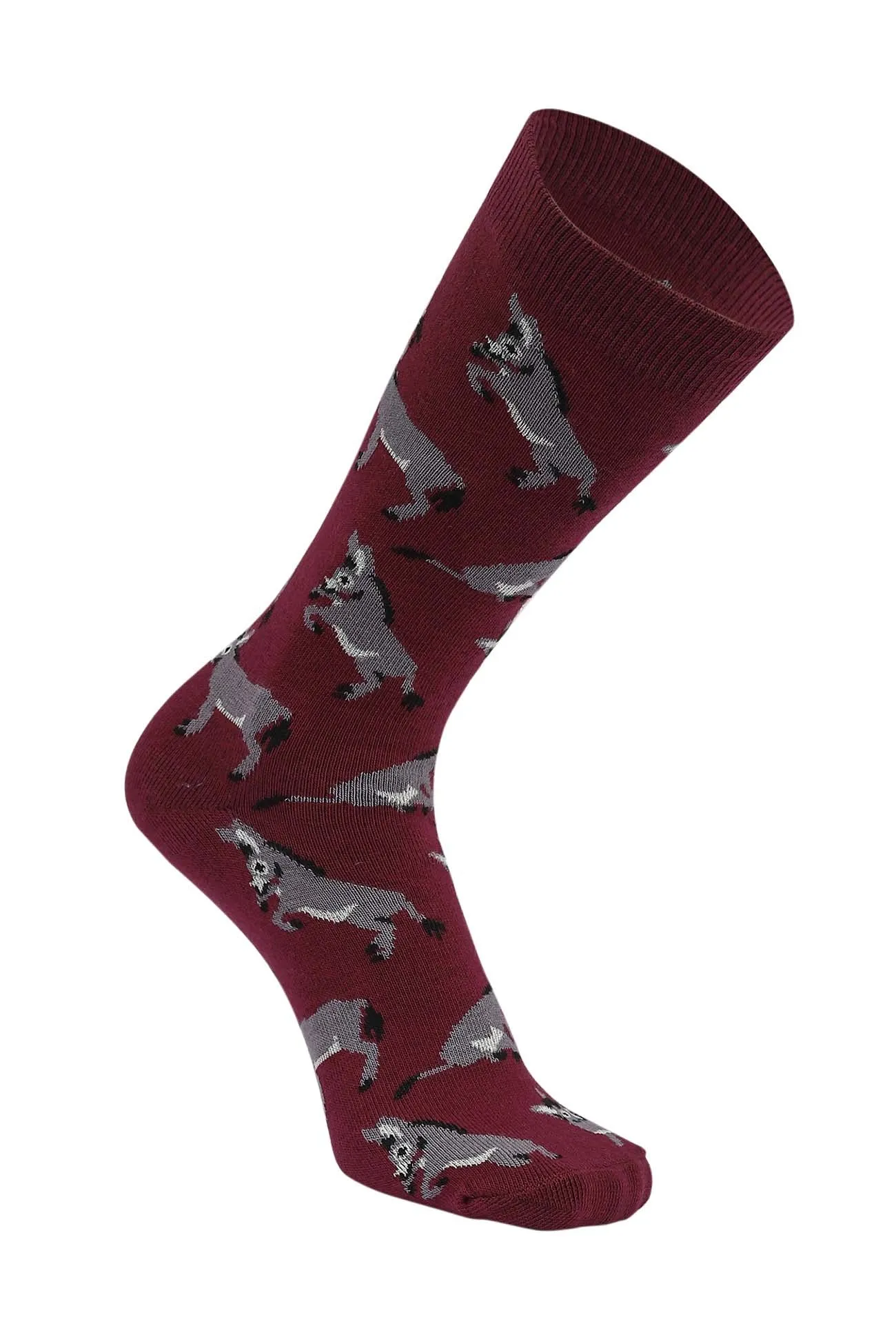 AWST Int'l Playful Donkeys Socks 6 pack