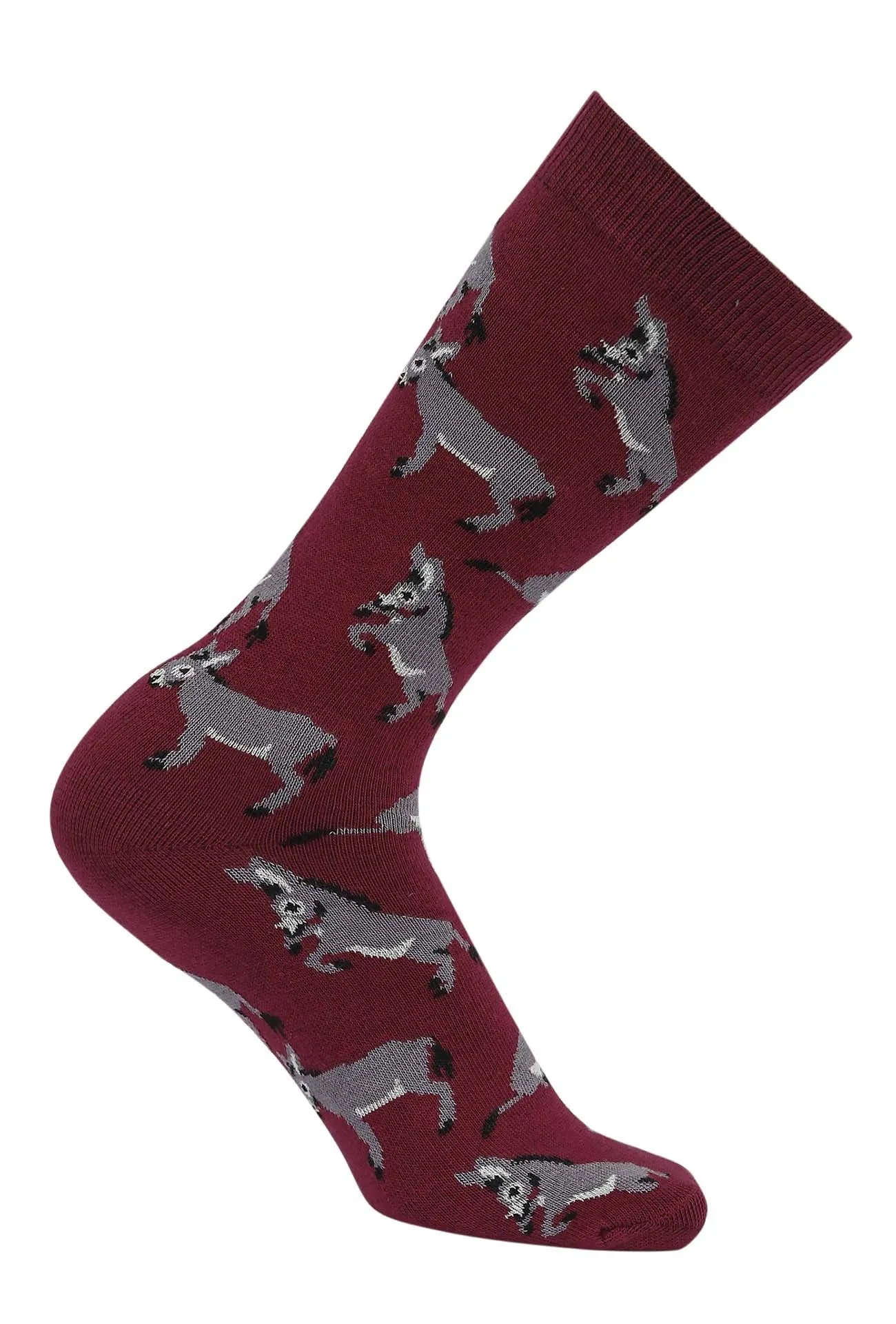 AWST Int'l Playful Donkeys Socks 6 pack