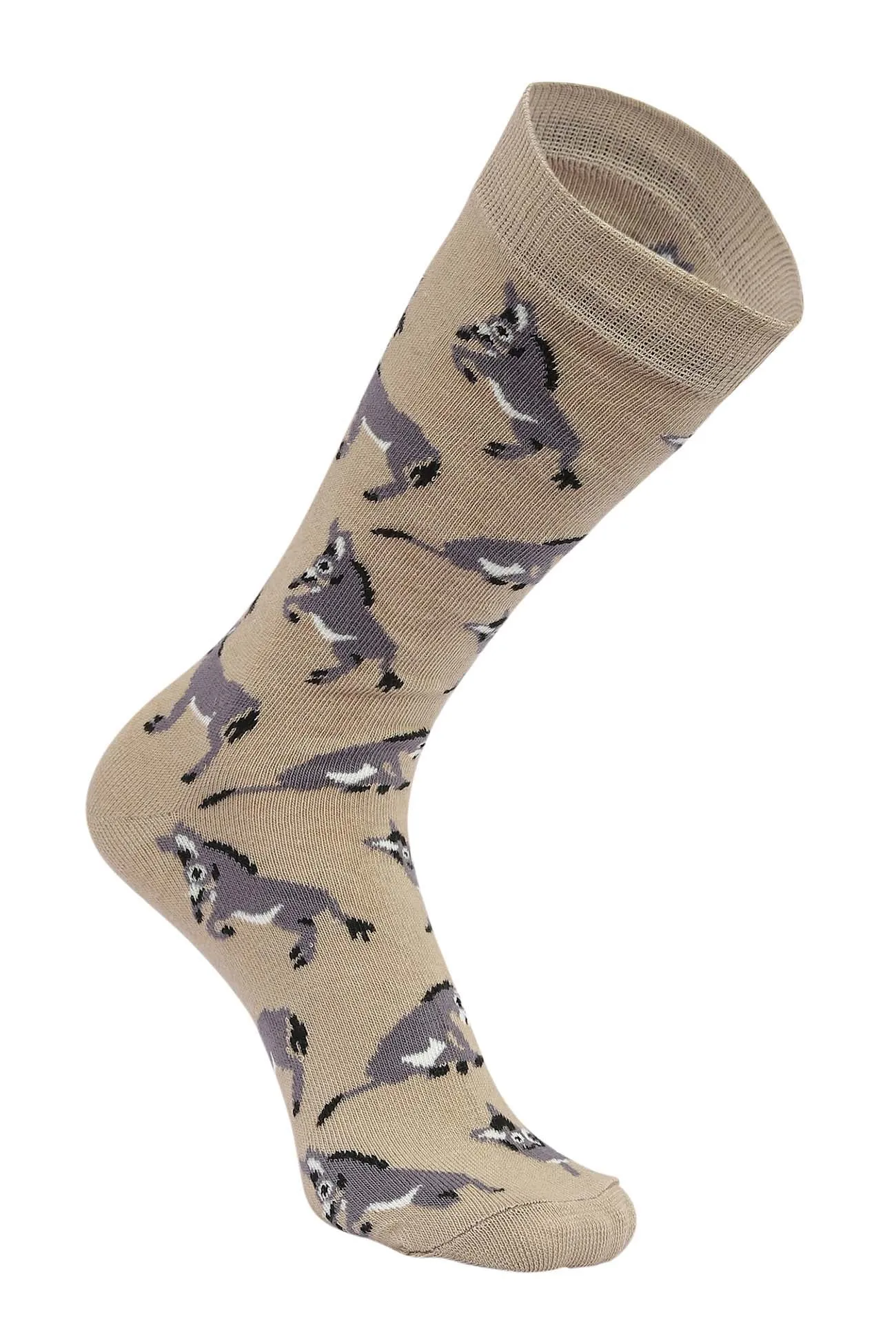 AWST Int'l Playful Donkeys Socks 6 pack