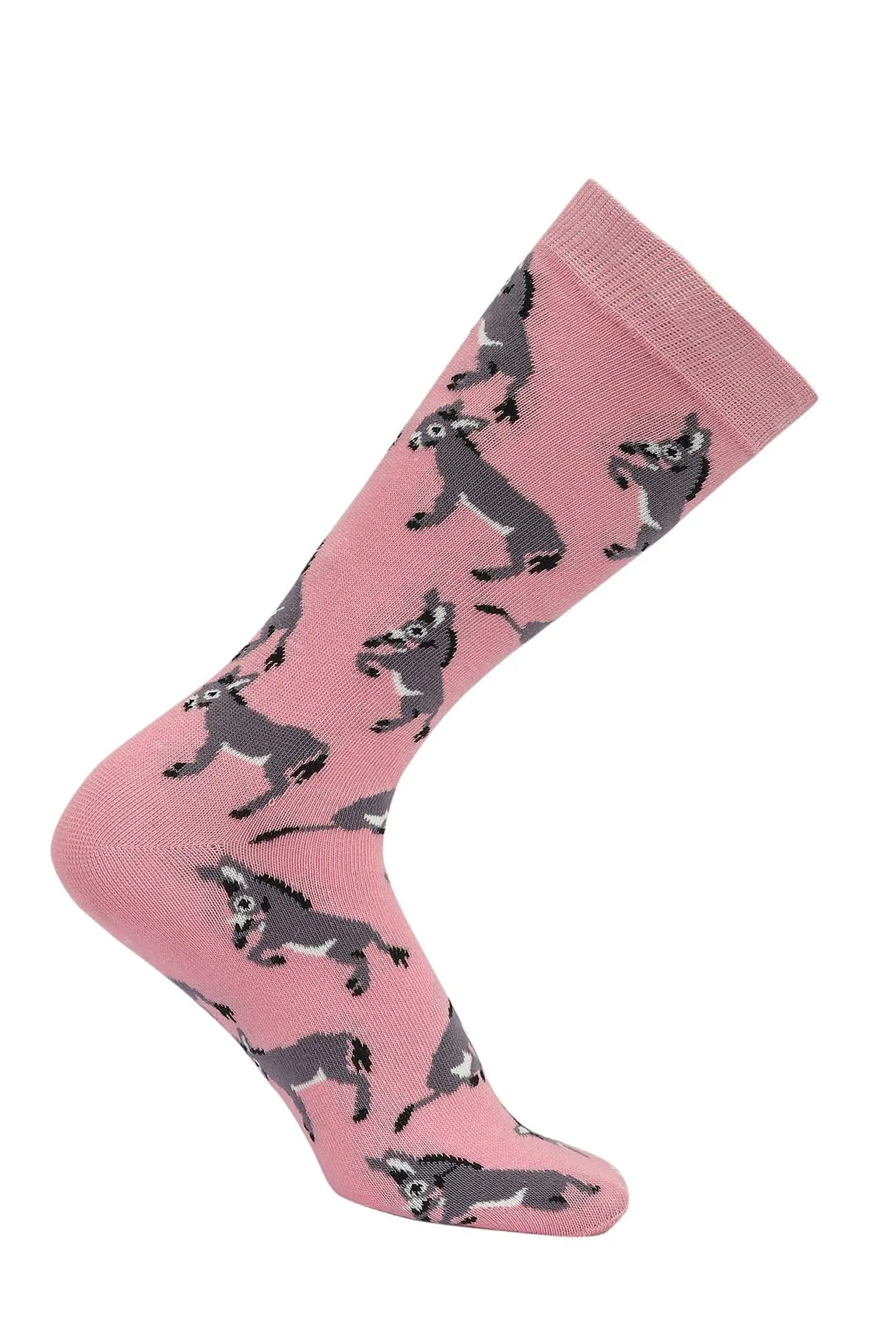 AWST Int'l Playful Donkeys Socks 6 pack