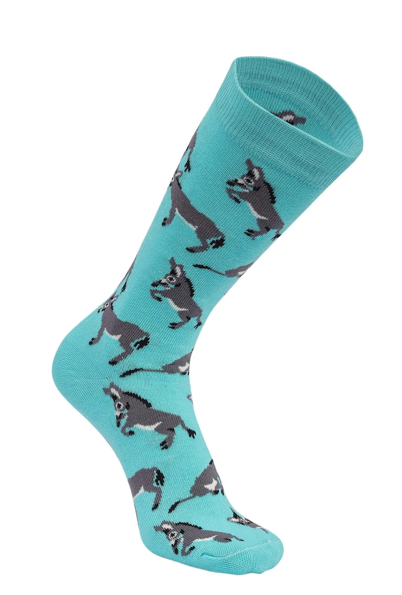 AWST Int'l Playful Donkeys Socks 6 pack