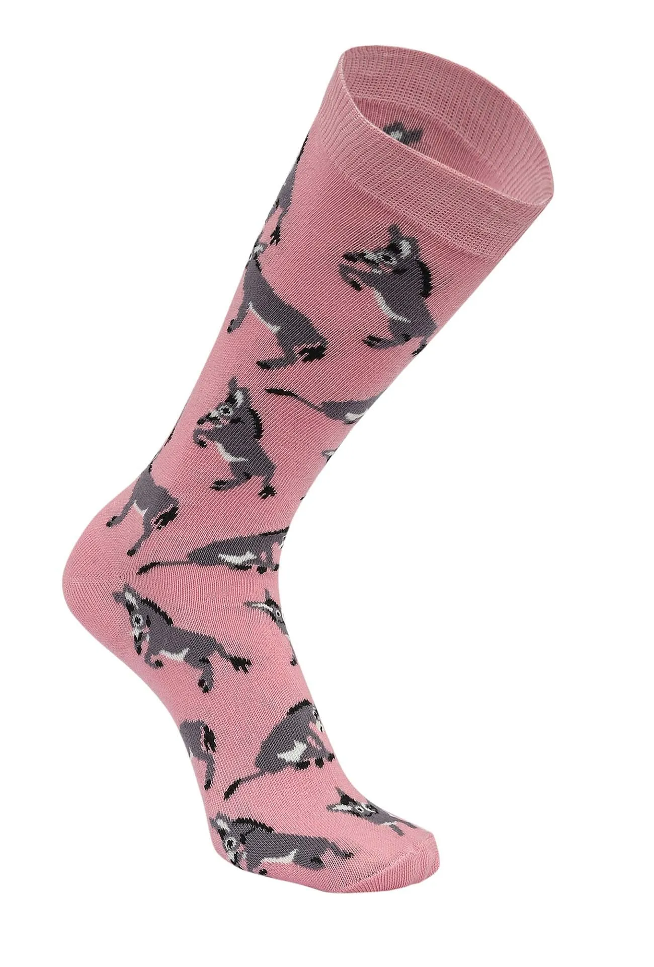 AWST Int'l Playful Donkeys Socks 6 pack